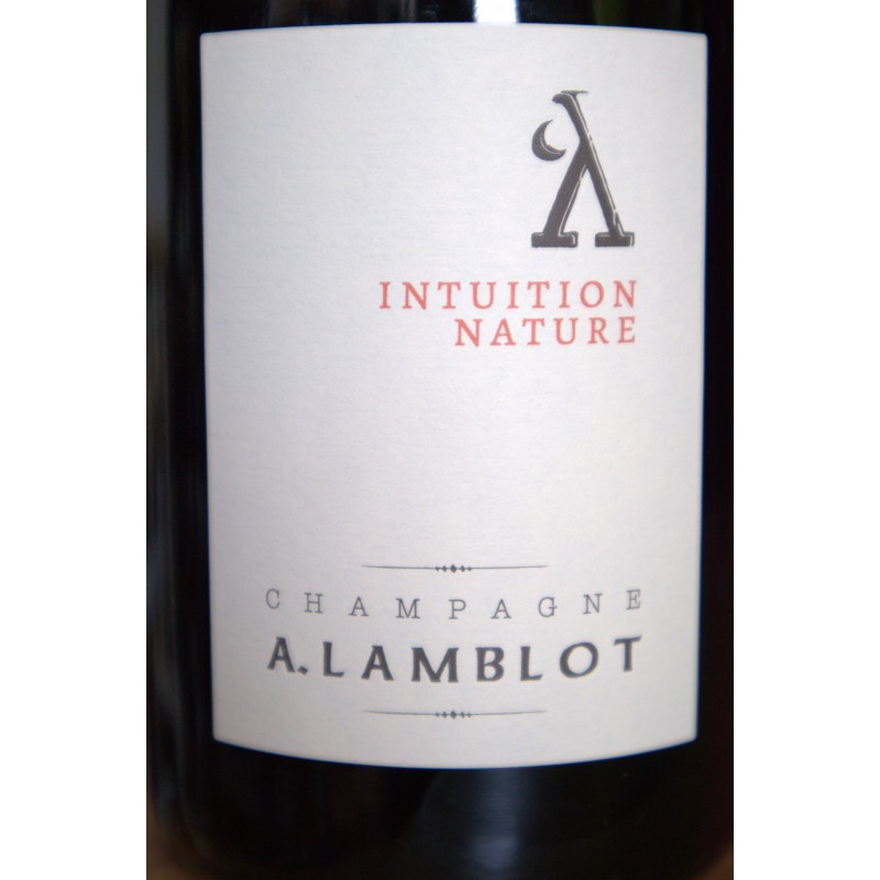 Intuition Nature 2020 - Alexandre Lamblot