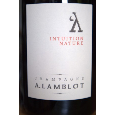 Intuition Nature 2020 - Alexandre Lamblot