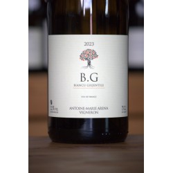 Blanc - BG - Aréna
