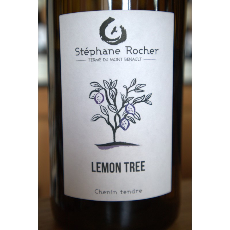 Lemon Tree - Blanc - Stéphane Rocher