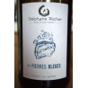 Pierres Bleues - Blanc - Stéphane Rocher