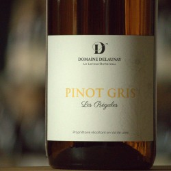 Pinot Gris - Florent Delaunay
