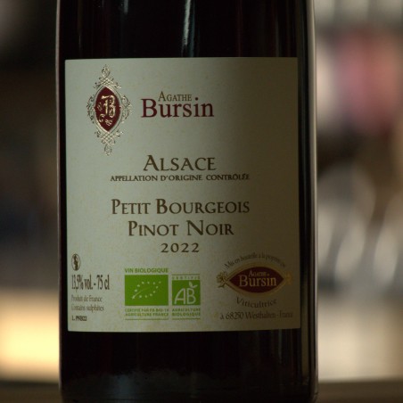 Pinot Noir - Petit Bourgeois - Agathe Bursin