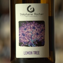 Lemon Tree - Blanc - Stéphane Rocher
