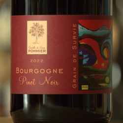Pinot Noir - Bourgogne Rouge - Domaine Pommier
