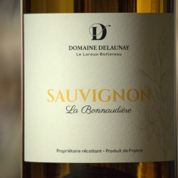 Sauvignon - Florent Delaunay
